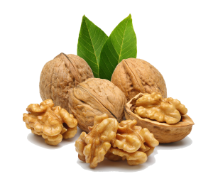 بیماری و علائم کمبود در گردو